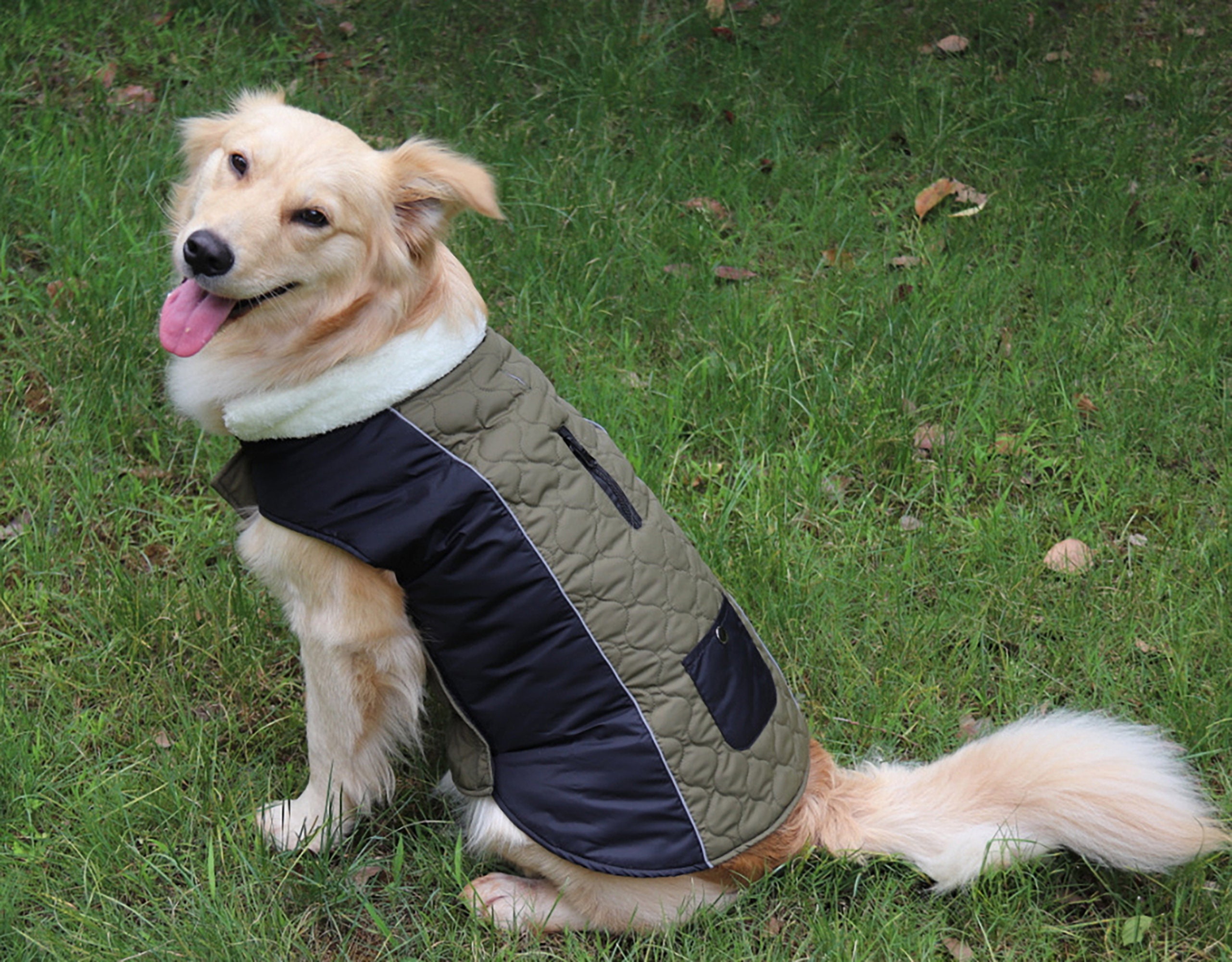 Waterproof Universal Dog Coat Warm Cotton Puppy Jacket With Etsy
