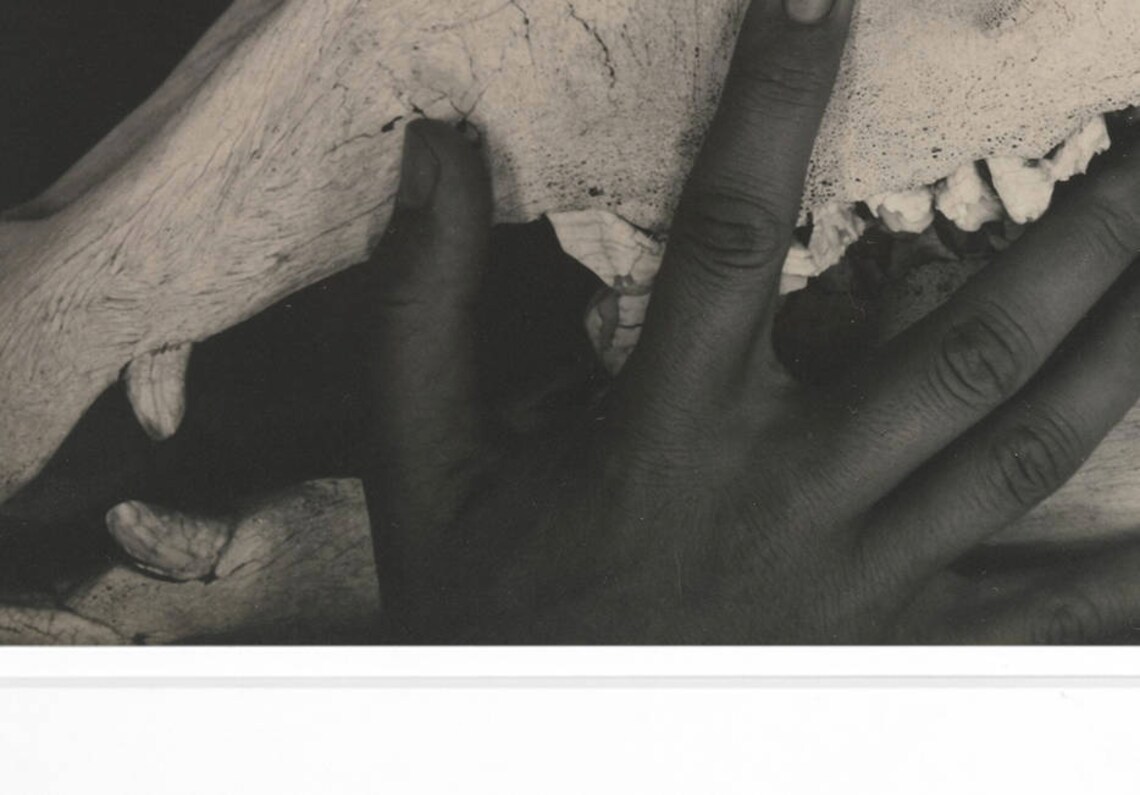 Alfred Stieglitz O'keeffe Hands and Horse Etsy
