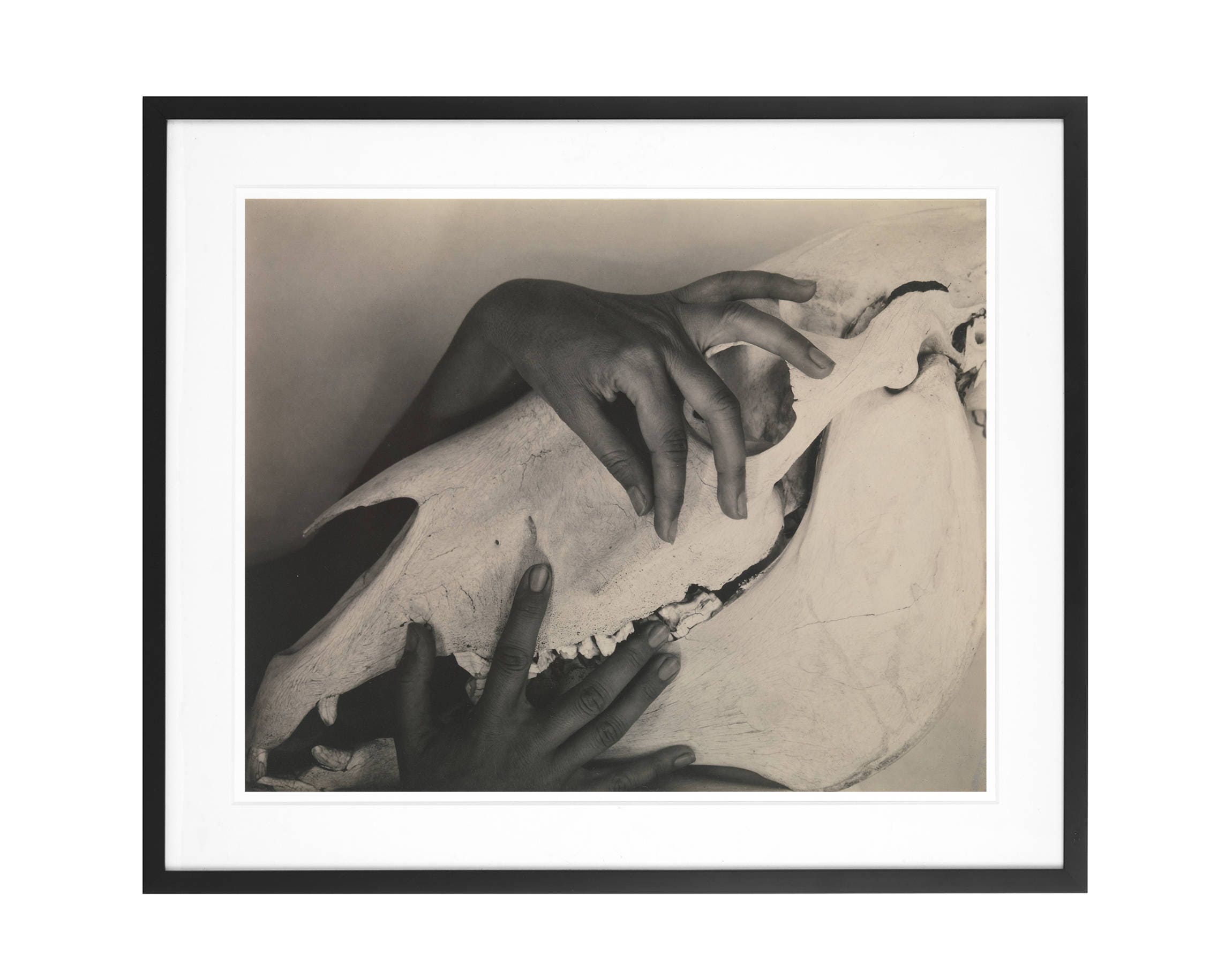 Alfred Stieglitz O'Keeffe Hands and Horse Etsy