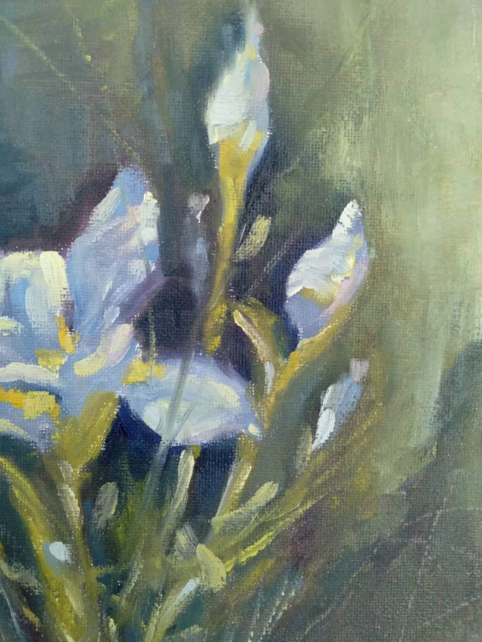 Original Blue Iris Oil Painting Iris Flower Artwork | Etsy