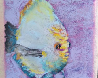 Original white discus soft pastel painting, fish pastel drawing