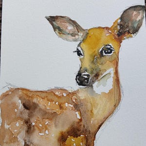 Original fawn watercolor painting, deer watercolor painting, baby animal watercolor painting
