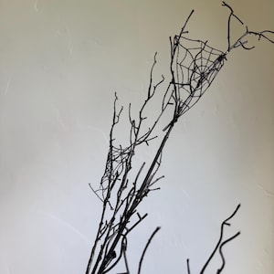 May include: A collection of thin, black, bare branches arranged vertically. The branches feature delicate, intricate, black spider web patterns stretched between the twigs, creating a stark contrast against the light, neutral-colored background.