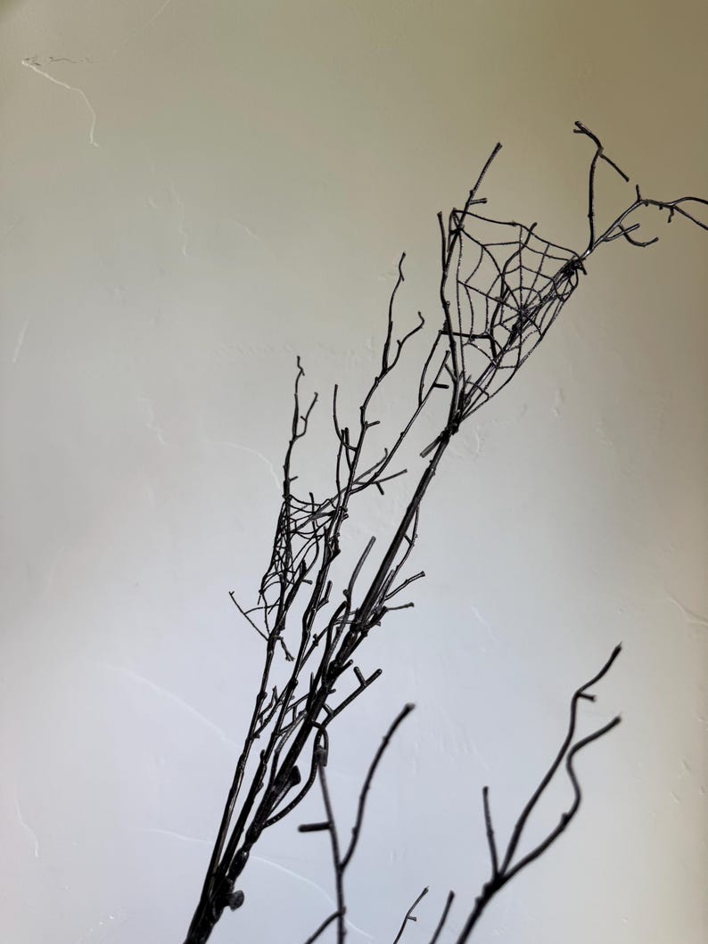 May include: A collection of thin, black, bare branches arranged vertically. The branches feature delicate, intricate, black spider web patterns stretched between the twigs, creating a stark contrast against the light, neutral-colored background.