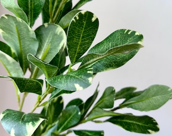 Faux Variegated Pittosporum Stem Artificial Greenery Stem, Wreath Making Supply, Realistic Fake Greenery Spray for Flower Aranging