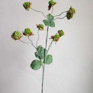 May include: A faux floral stem featuring green berries and leaves. The berries are clustered and have a textured appearance. The leaves are a muted green, and the stem is a muted gray-green color.