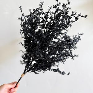 May include: A black artificial plant with many small branches and leaves. The stem is wrapped with twine. The plant is held against a white background.