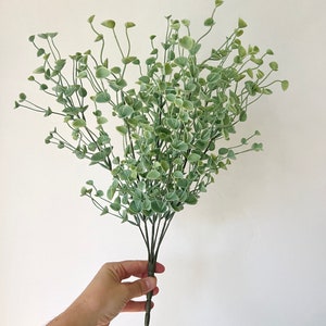 May include: A bundle of artificial eucalyptus stems with small, round, light green leaves and slender stems. The faux greenery is held against a white background, showcasing the naturalistic design of the plant. The stems are bundled together at the base.