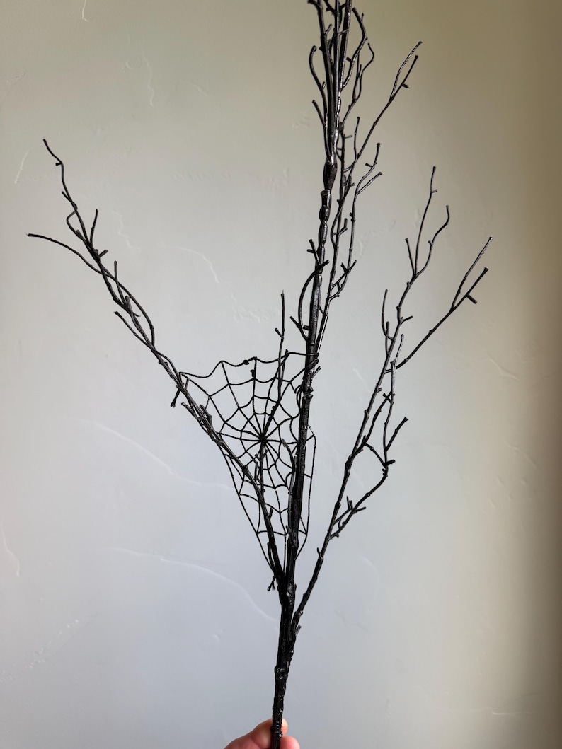 May include: A decorative black branch featuring multiple thin, bare twigs extending upward. A detailed black spiderweb is attached between the central branches, creating a structured, webbed pattern within the dark, branching silhouette.