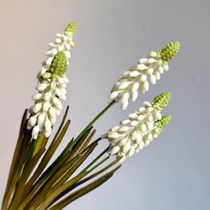 May include: Artificial white and green flower stems. The flowers have a cluster of small white petals and a green bud at the top. The stems are green and the leaves are a dark green.
