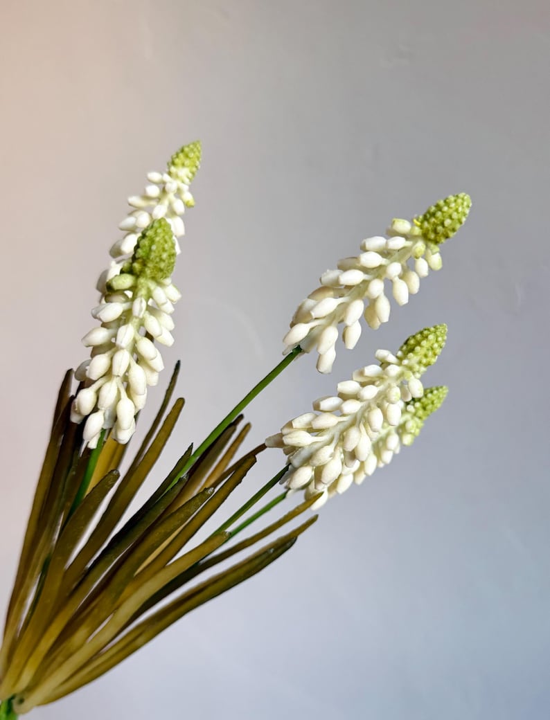 May include: Artificial white and green flower stems. The flowers have a cluster of small white petals and a green bud at the top. The stems are green and the leaves are a dark green.