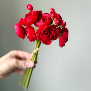 May include: A bouquet of vibrant red flowers, featuring fully bloomed roses and unopened buds. The stems are green and tied together with a natural twine. The flowers are held against a soft gray background.