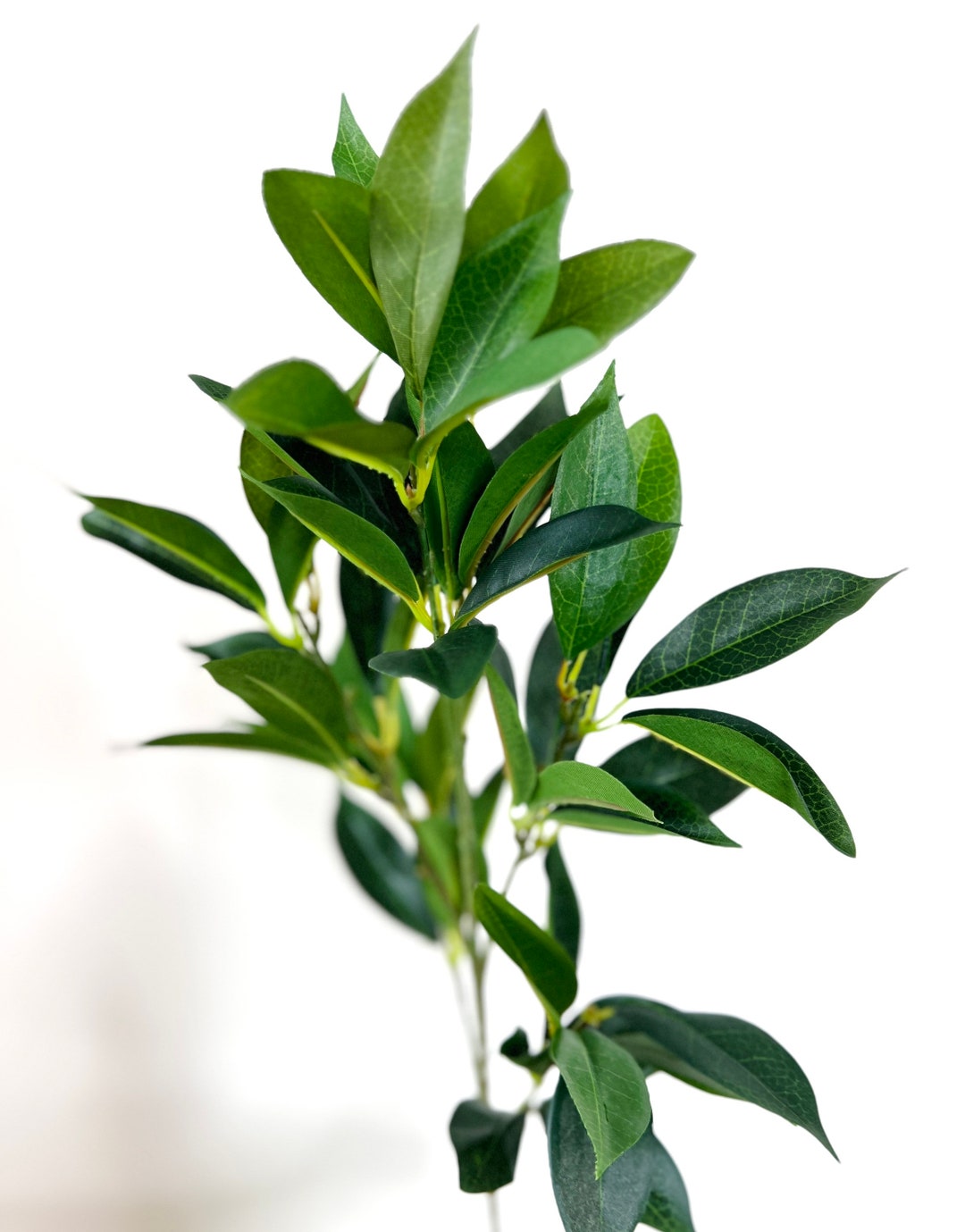 26 Green Shikibu Foliage Spray, Artificial Greenery Stem for Wreath Making or Faux Floral