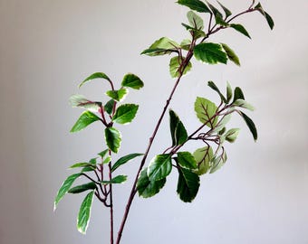 Variegated Euonymus Spray Faux Greenery Stem Real Touch Leaf Branch Artificial Euonymus Stem for Wreath Making Home Decor