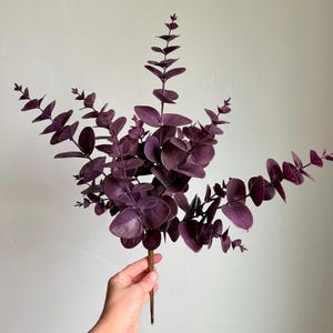 May include: A decorative artificial eucalyptus branch featuring multiple stems with rounded, deep purple leaves. The foliage is arranged in a branching pattern, extending outward from a central brown stem, creating a full and layered appearance.