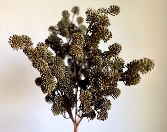 Faux Soft Sedum Bush, Olive Green Brown Artificial Sedum Spray, Fall Greenery Stem Wreath Making Supply Rustic Floral Pick