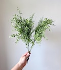 Button Fern Bush, Artificial Greenery for Wreath Making or Faux Floral Arrangements, Wedding Greenery, Filler Greeney Fake Plants