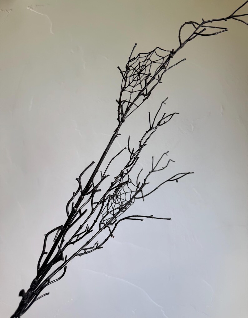May include: A decorative black branch featuring multiple thin, twig-like stems extending outward. Two distinct, intricate spider web patterns are attached between the branches, creating a detailed, dark, and branching structure throughout the piece.