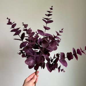 May include: A decorative artificial eucalyptus branch featuring multiple stems with rounded, deep purple leaves. The foliage is arranged in a branching pattern, with smaller leaves near the tips and larger, more mature leaves toward the base.