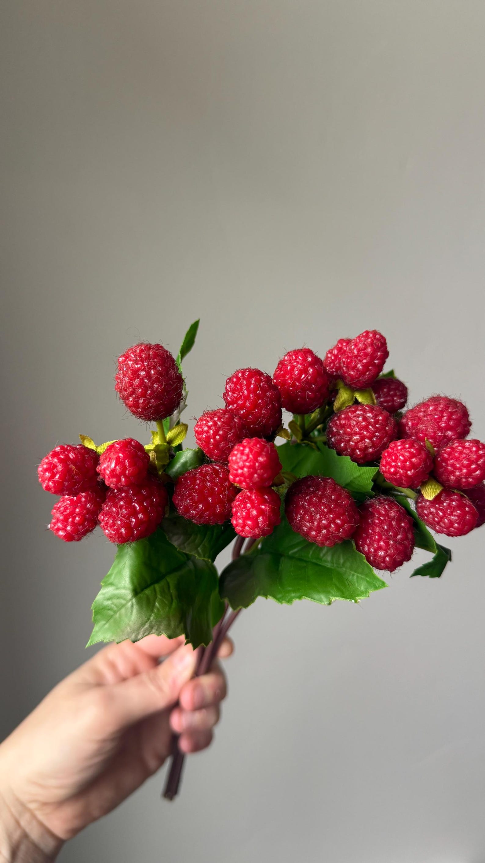 Red Raspberry Stem Artificial Raspberry Stem Bundle, Realistic Red Raspberry Spray, Faux ...