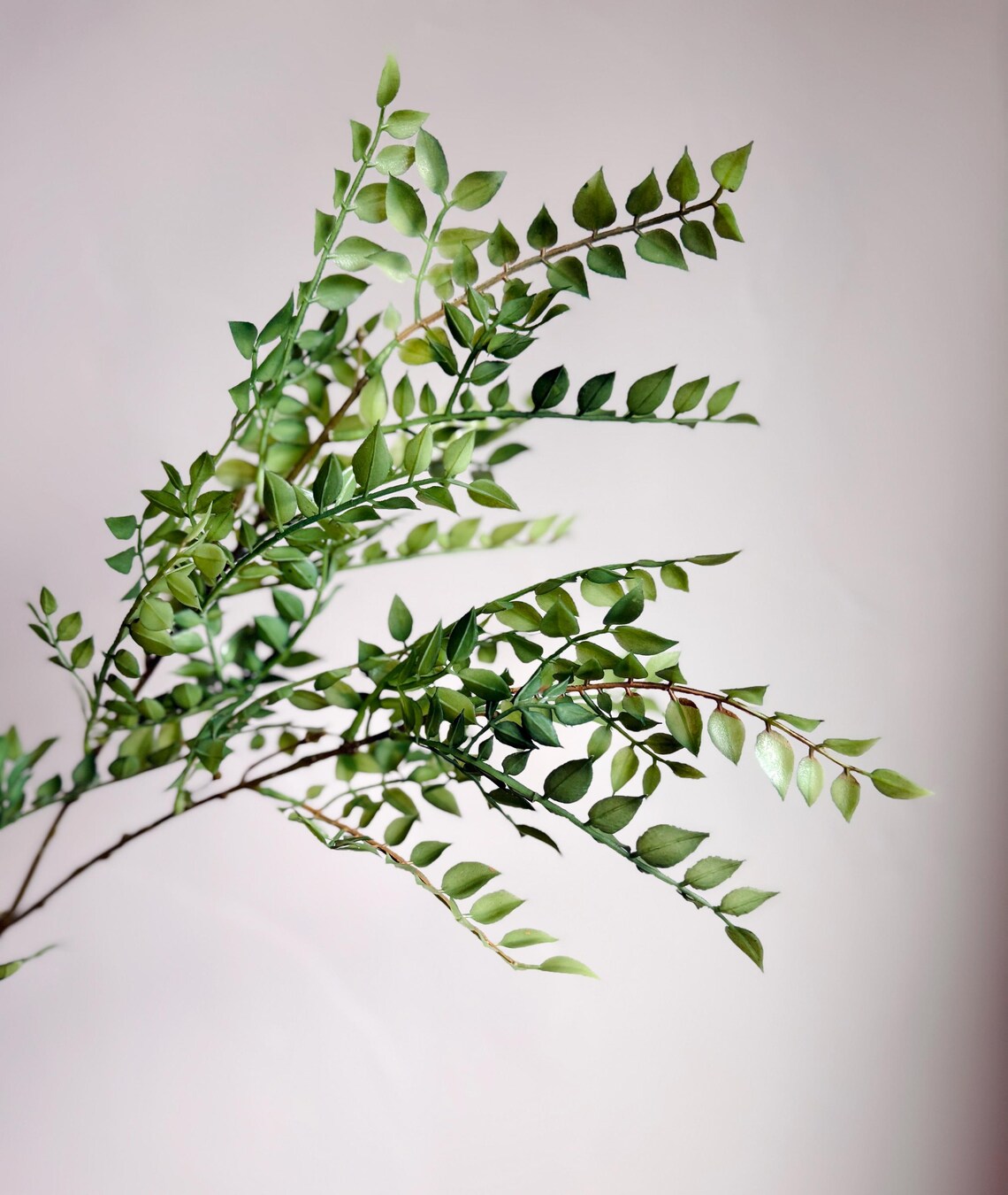 Ruscus Fillers Faux Green Ruscus Spray, Artificial Ruscus Stem, Realistic Greenery ...