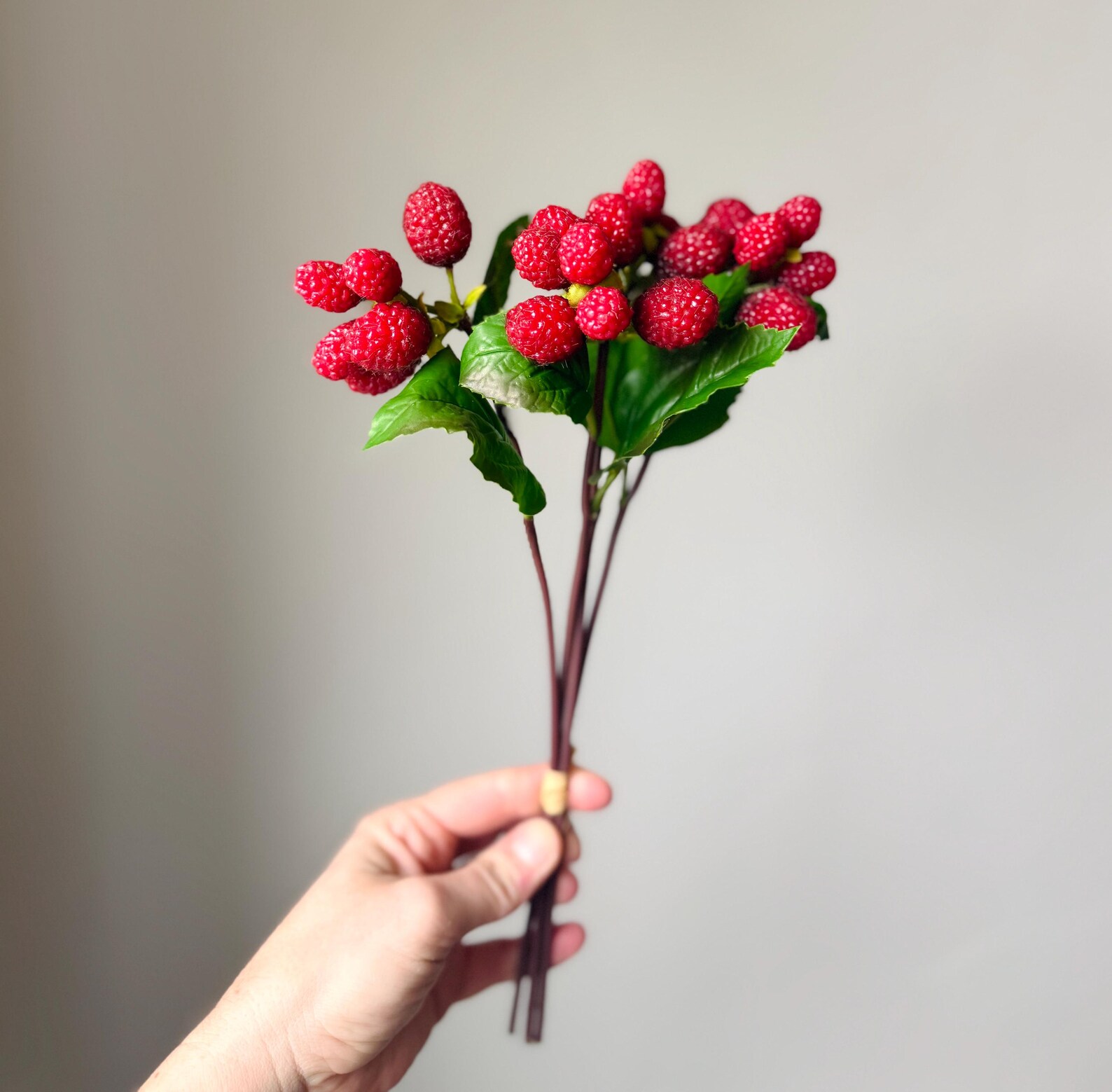 Artificial Raspberry Stem Bundle, Realistic Red Raspberry Spray, Faux ...
