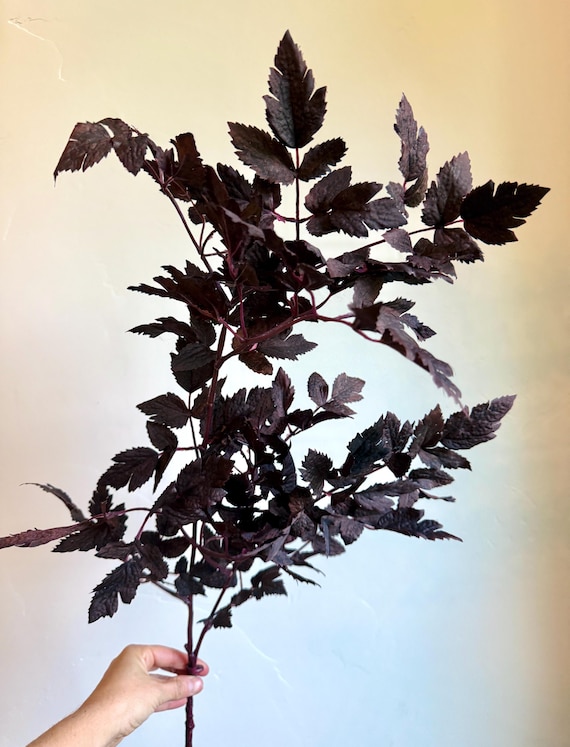 Plum Cimicifuga Ramosa Stems Faux Dark Purple Greenery Artificial Fall Foliage Stems for Wreaths, Floral Arrangements, and DIY Crafts