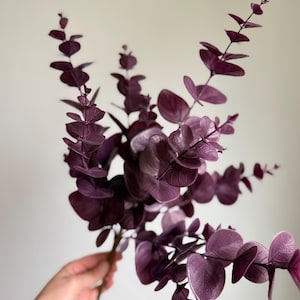 May include: A decorative stem of artificial eucalyptus featuring multiple branches with rounded, deep purple leaves. The foliage displays a matte texture and consistent dark violet coloration throughout the entire plant structure.