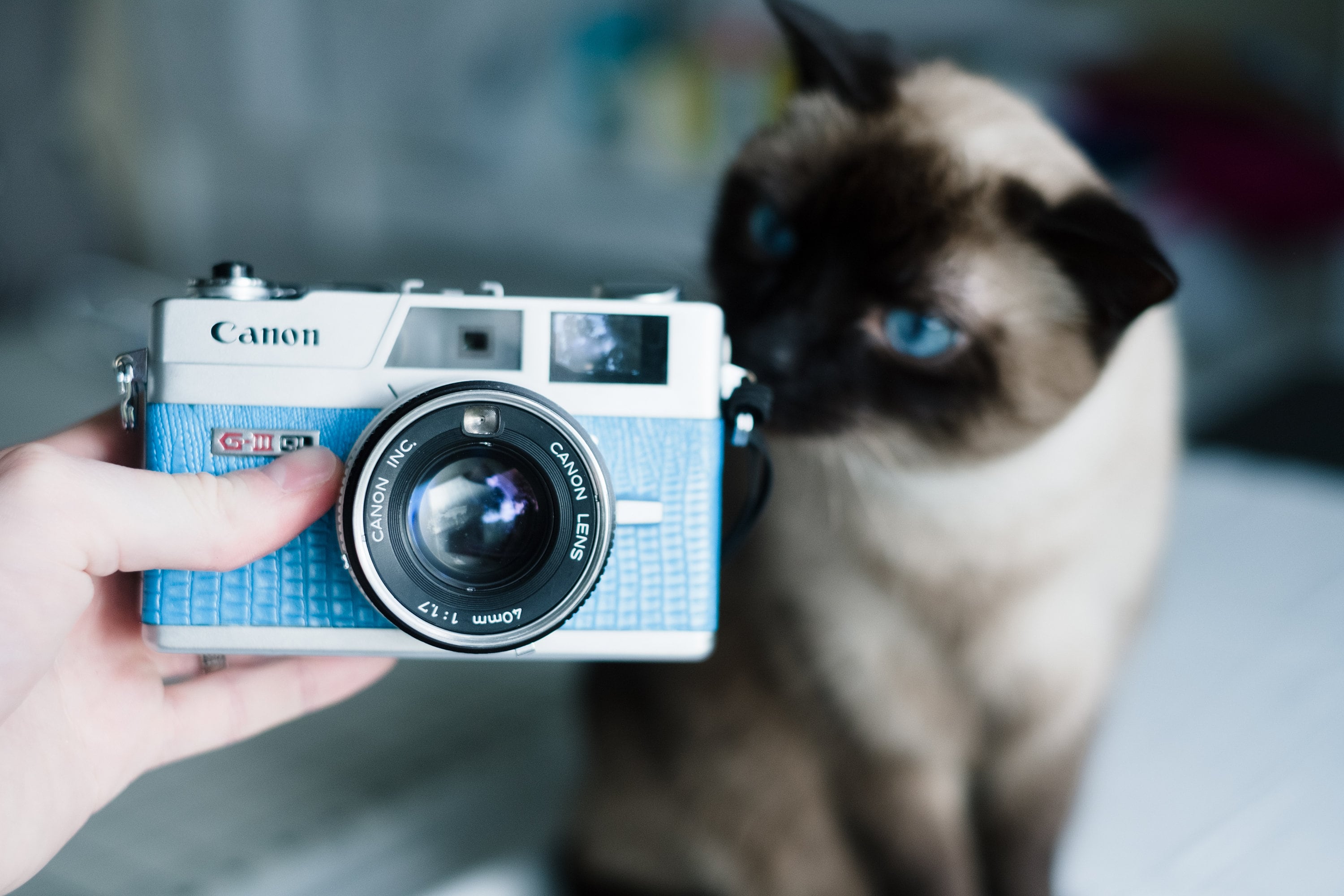 Canonet QL17 GIII 35mm Rangefinder Film Camera Custom CLA Canonet QL17 GIII 35mm Rangefinder Film Camera Custom CLA
