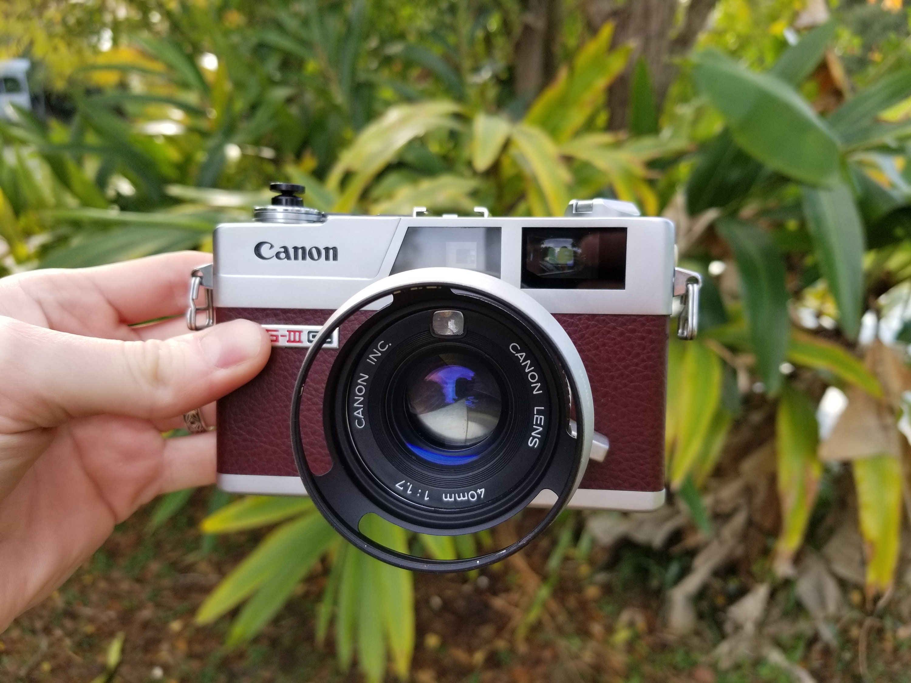 Canonet QL17 GIII 35 mm レンジファインダー フィルム カメラ