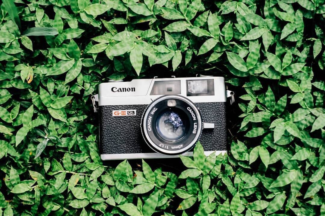 Canonet QL17 GIII 35mm Rangefinder Film Camera Custom CLA Canonet QL17 GIII 35mm Rangefinder Film Camera Custom CLA