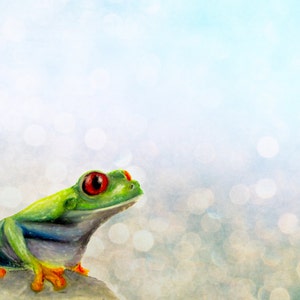 May include: A green and blue frog with red eyes sits on a rock against a light blue background with white bokeh.