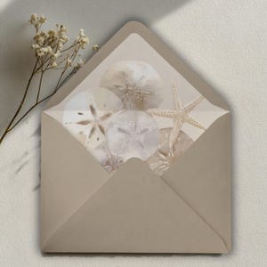May include: A beige envelope with a light beige interior, revealing a collection of sand dollars and a starfish. The envelope is open, showcasing the sea-themed design. A sprig of dried flowers is in the upper left corner.