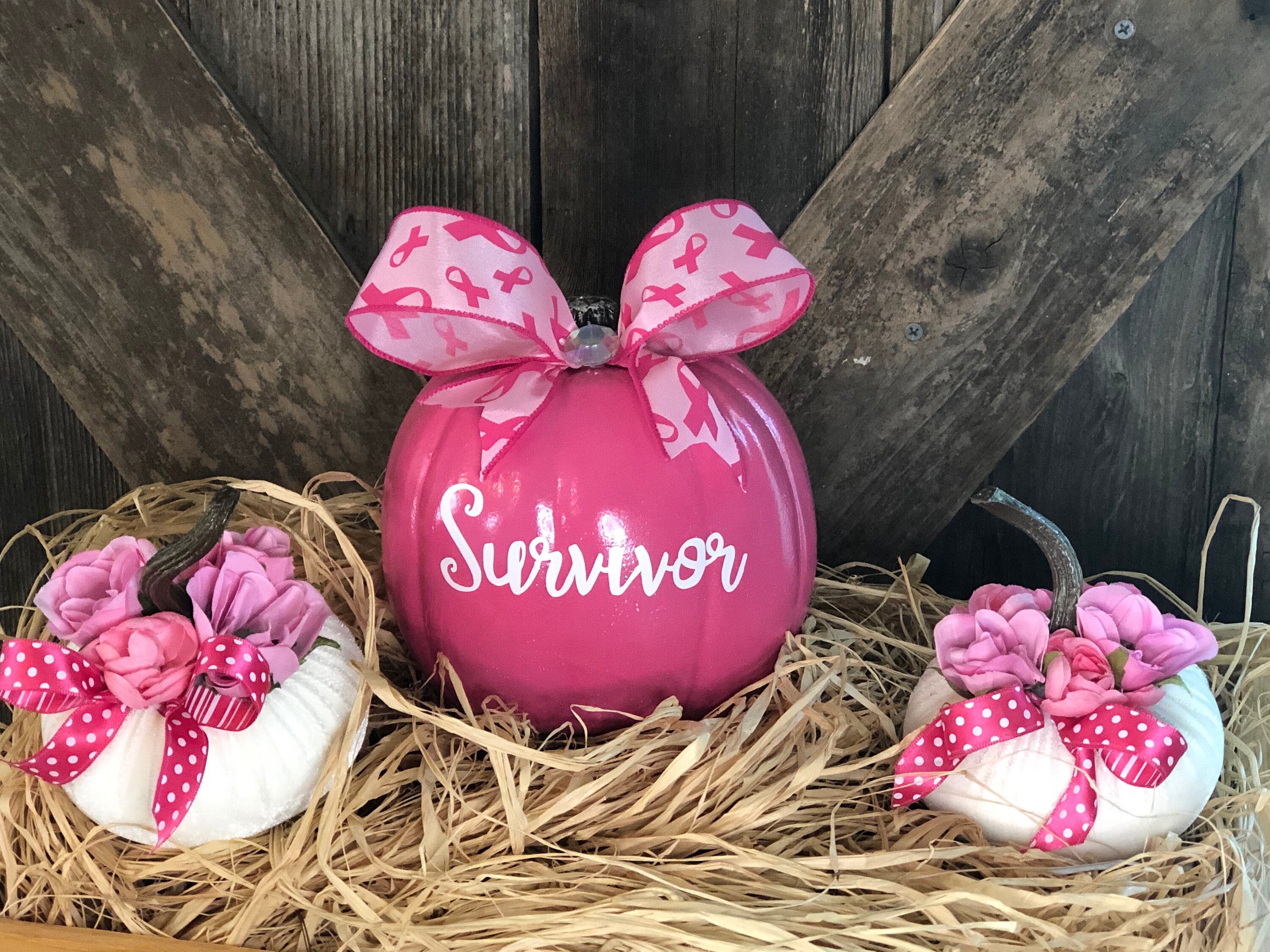 PINK breast cancer awareness craft PUMPKIN, Survivor Fall pink pumpkin
