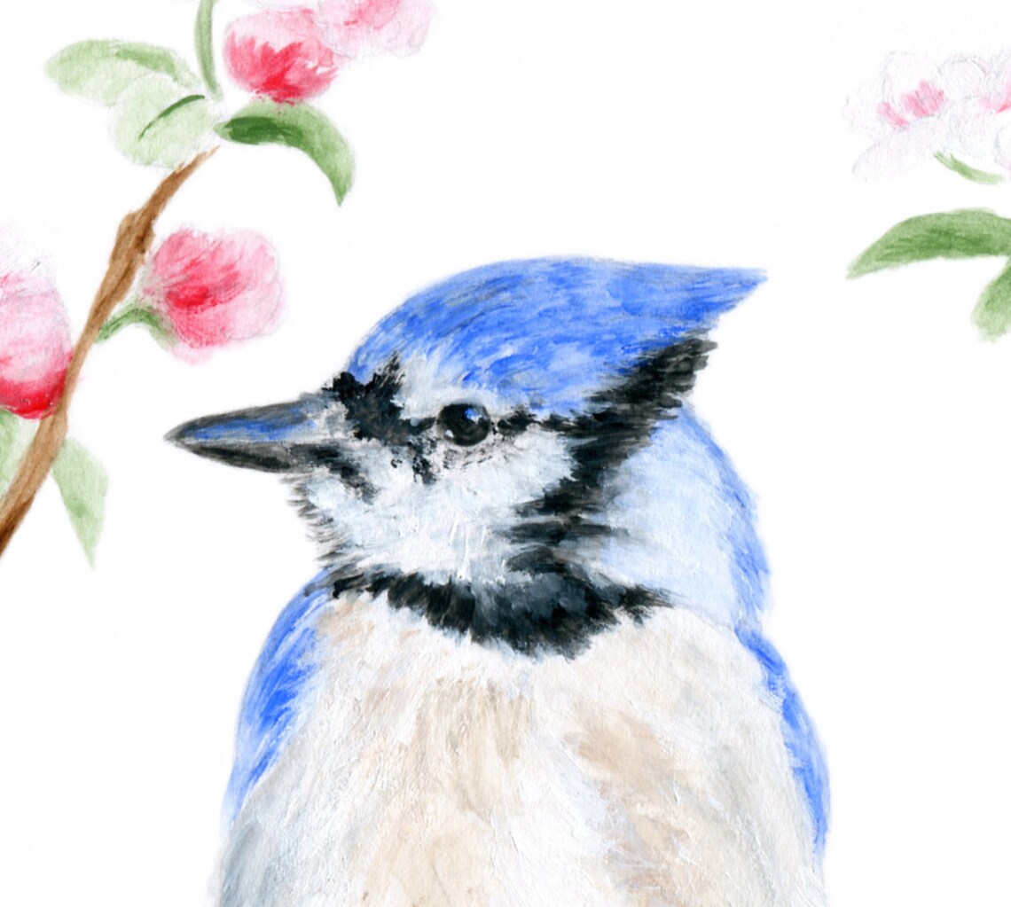 Blue Jay Pair Couple of Blue Jays Male and Female Blue Jay - Etsy