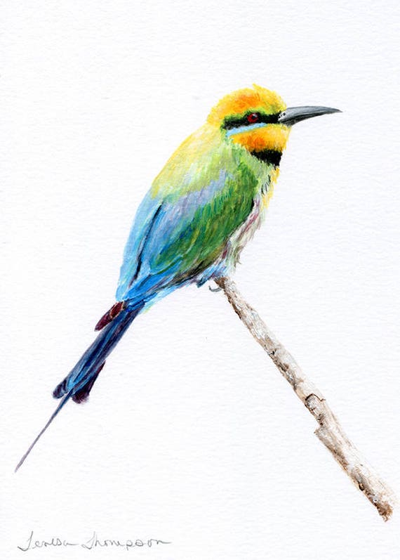 Rainbow Bee Eater Original Acrylic Bird Painting Bird Art Etsy