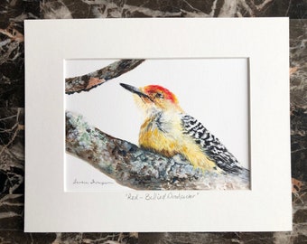 Red-bellied Woodpecker original painting, woodpecker art, realism bird art, forest critter art, colorful bird art, black and white bird art