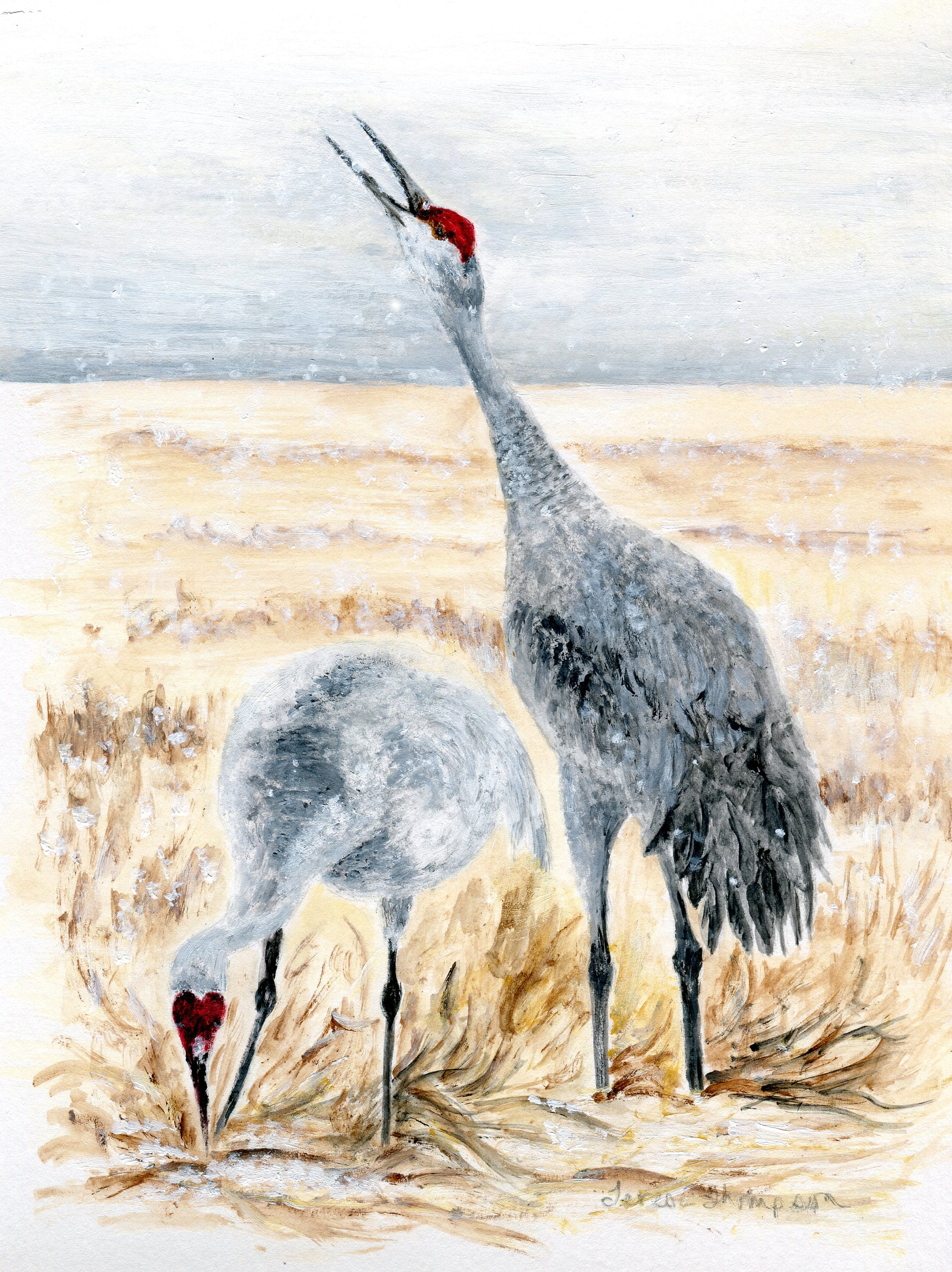 Sandhill Cranes Original Acrylic Painting Matted to 8