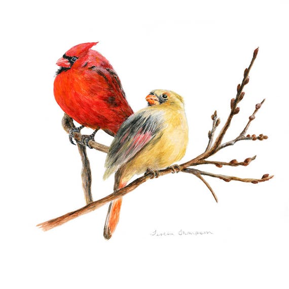 Cardinal Print Cardinal Art Cardinal Pair Bird Print Red Etsy