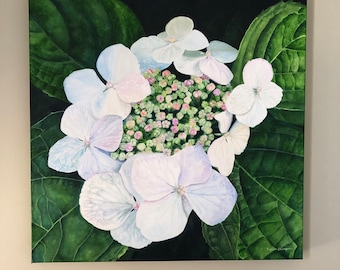 Pea Gee Hydrangea original acrylic painting 24" x 24" gallery wrapped and ready to hang simply beautiful