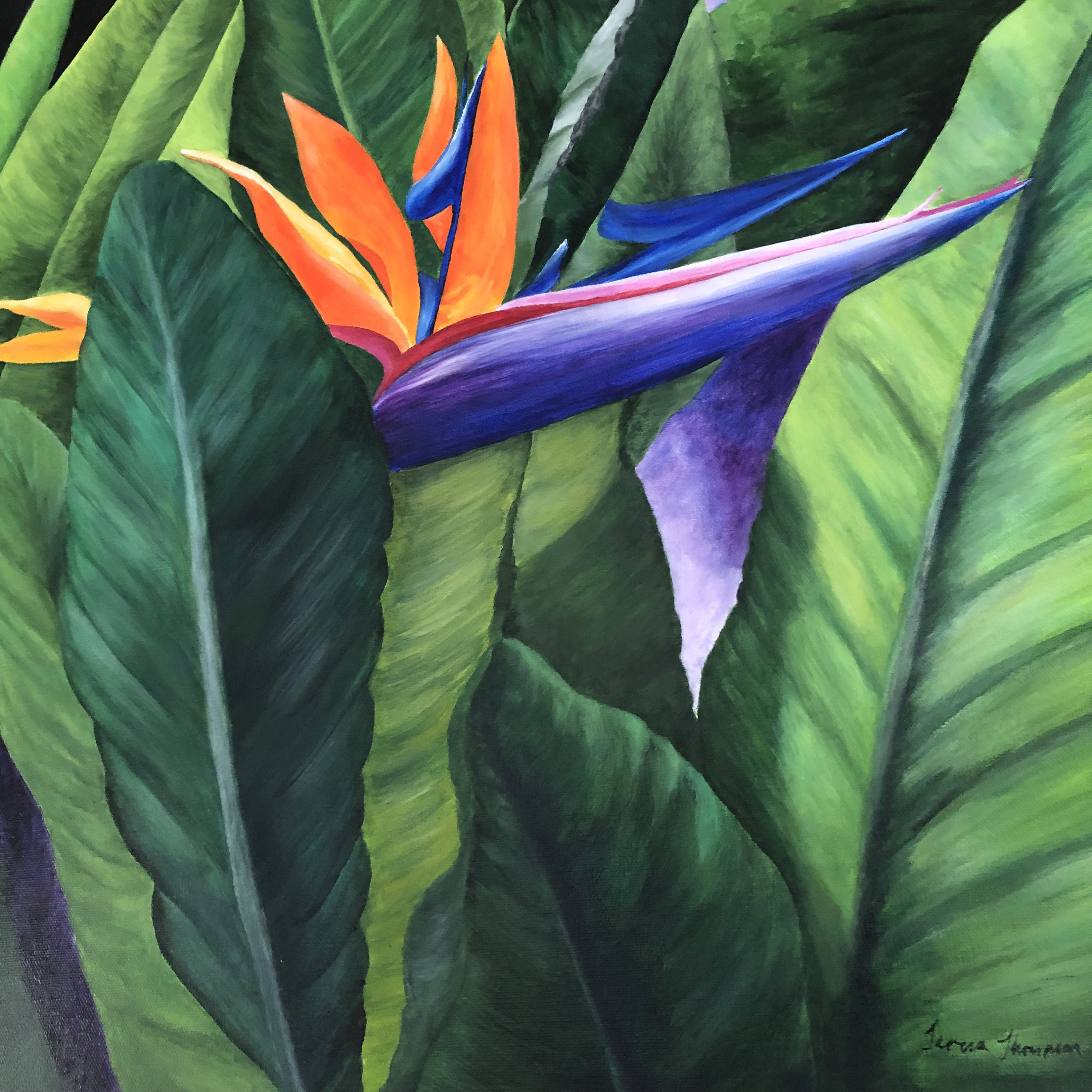 Paradise, original painting in acrylics framed matted signed by artist