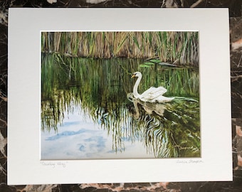 Beautiful Swan print, landscape scene, wildlife art, serenity art, elegant art, romantic art, mute swan art, gift for her, 12" x 16" matted