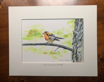 Blackburnian Warbler, warbler art, woodland bird art, forest themed art, cute bird art, Algonquin Park art, Canadian art, realism bird art