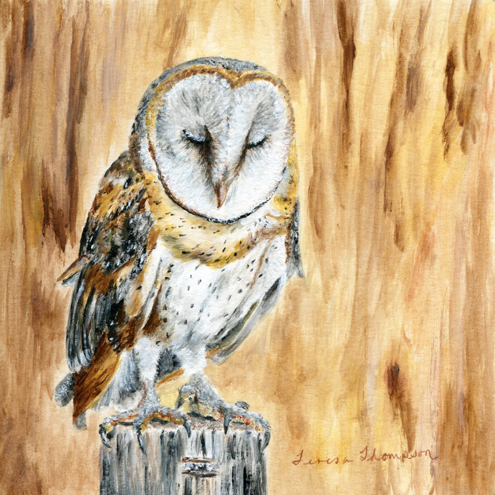 Barn Owl Original Acrylic Painting Barn Owl Art Owl Etsy