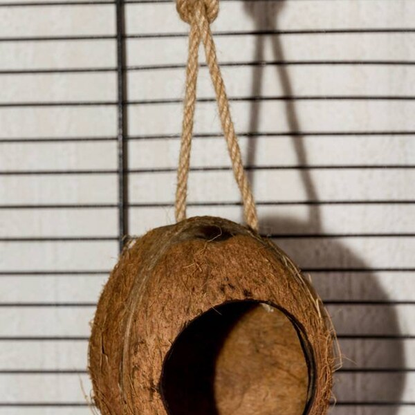 Swinging Coconut - Suitable For All Small Animal Cage Accessories - Rats, Chinchillas, Degus etc