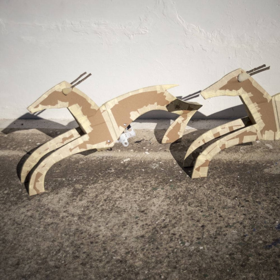 personalised gazelles