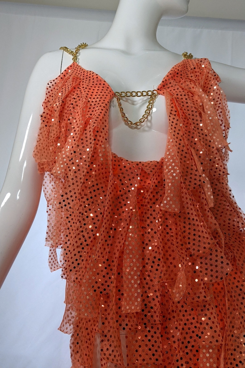 Shook Dress Sequin Fringe Dress image 5