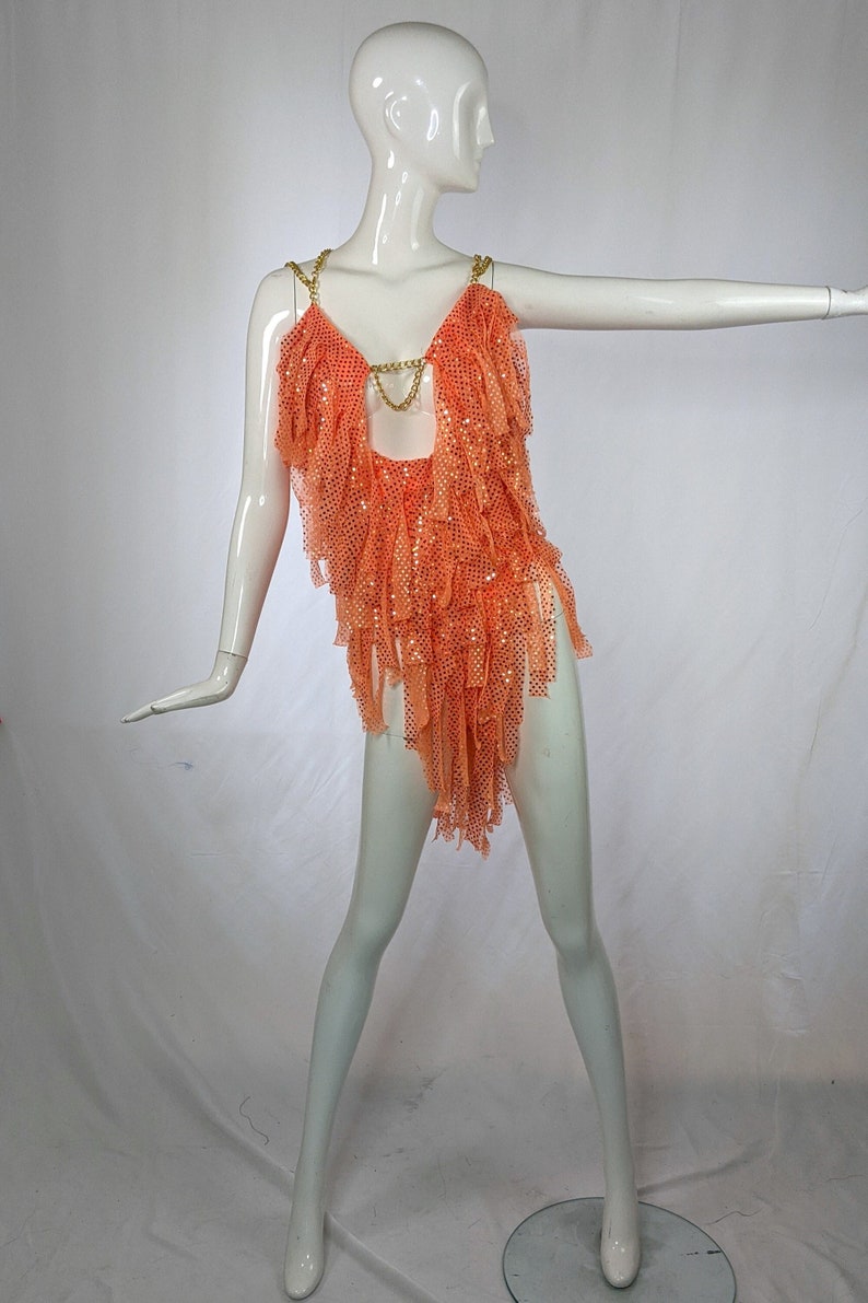 Shook Dress Sequin Fringe Dress image 1