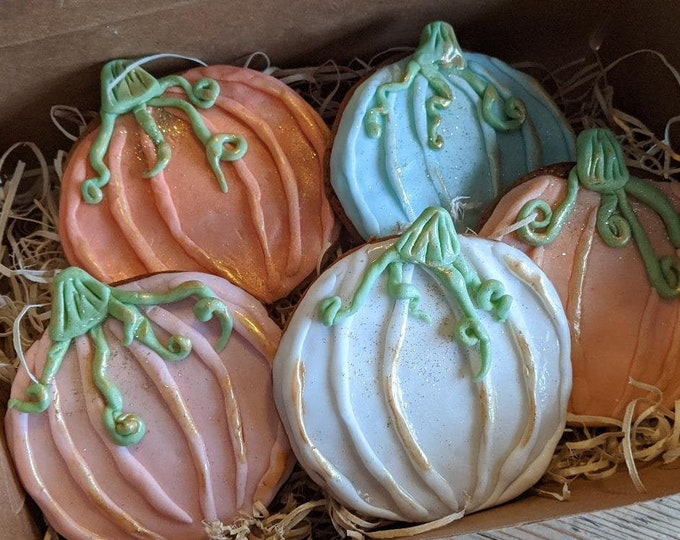 Pumkin Patch Sugar Cookies, Pumpkin Cookies, Hand Iced Letterbox Biscuits