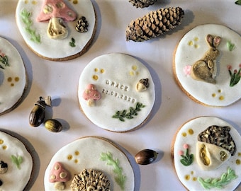 Personalised Hand Iced Baby shower Woodland Animal Biscuits - Vegan Avaialble